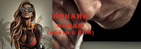 ешки Снежногорск